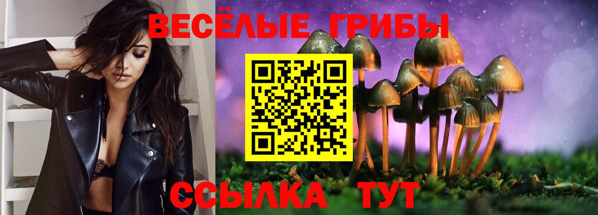 Аксай  Псилоцибиновые грибы MAGIC MUSHROOMS  Вход с VPN 